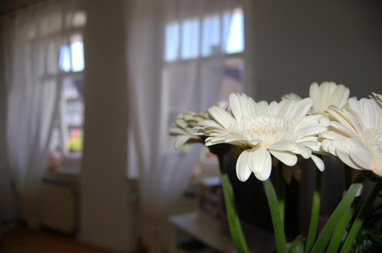 Ferienwohnungen Cafe Cup Detmold Exteriör bild